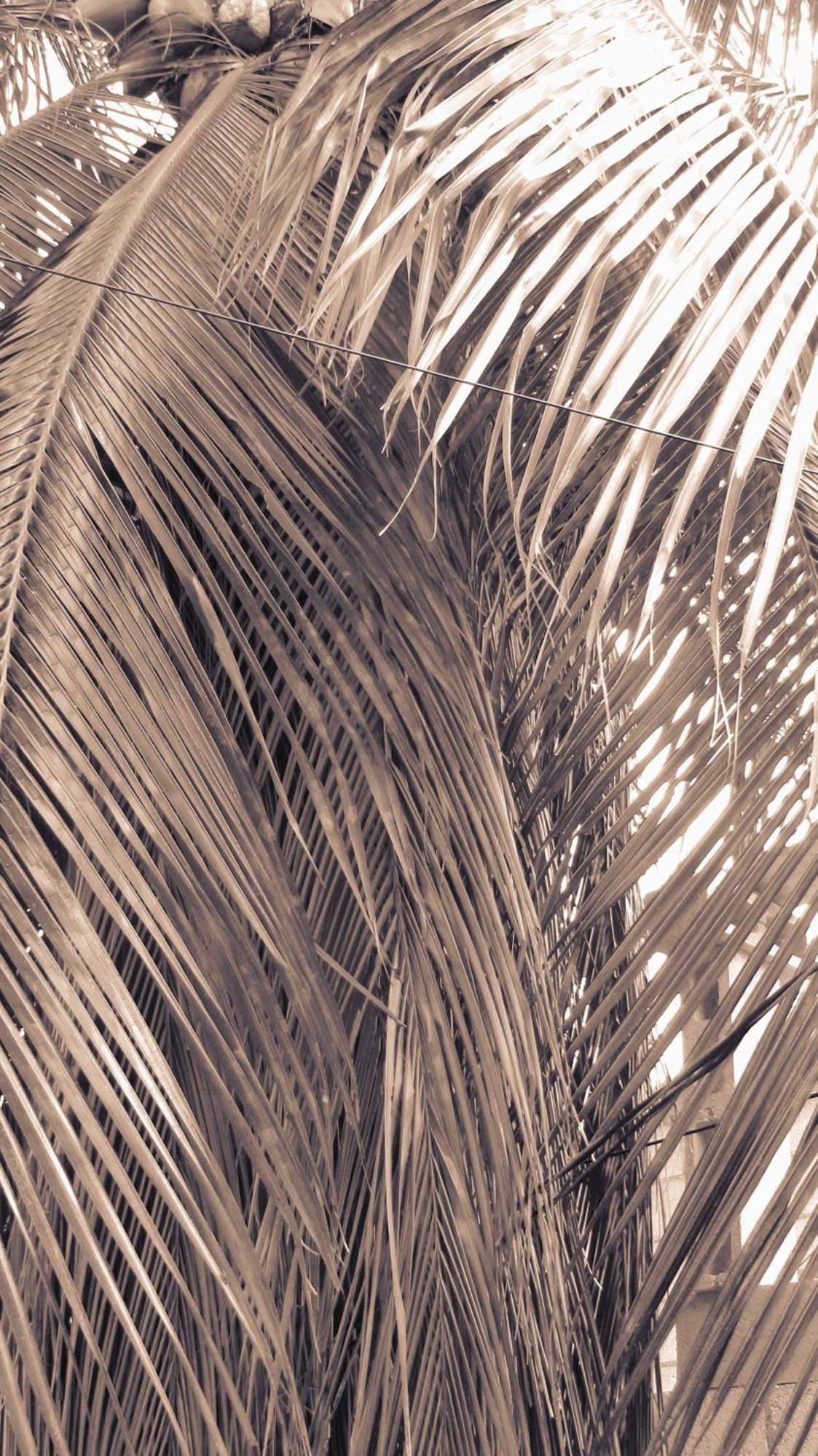 Appartement Cocos à Cancún Extérieur photo